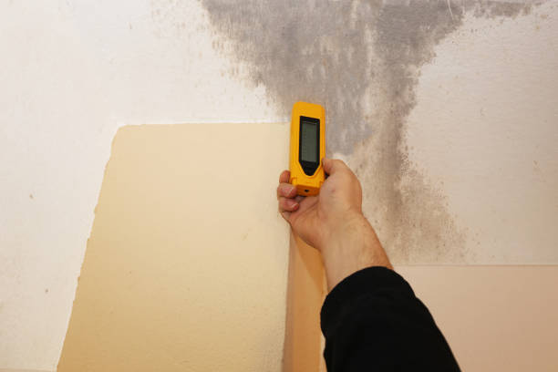 Reliable Centerville, GA Mold Inspection, Removal & Remediation Solutions